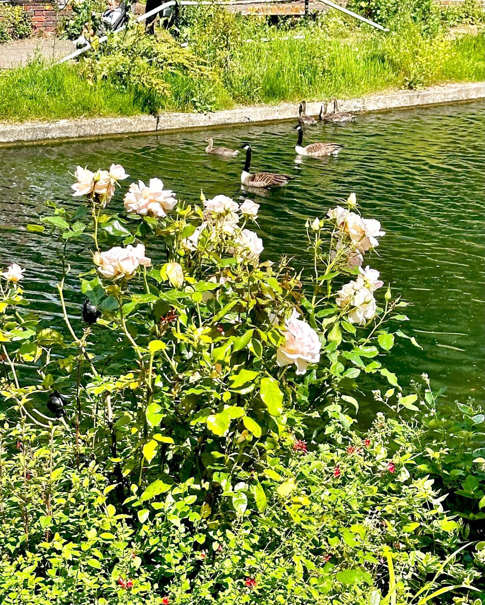 Amazing Location - City Of London- 2 Bedroom Stunning Canal View House With Private Garden,Parking & Balcony 외부 사진